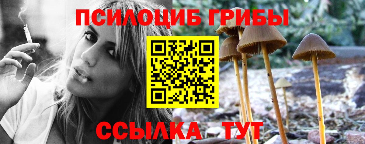 Псилоцибиновые грибы ЛСД  Вход с VPN  Юрга 